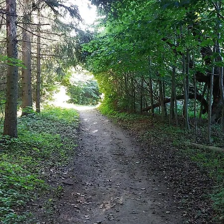 Zakatek
