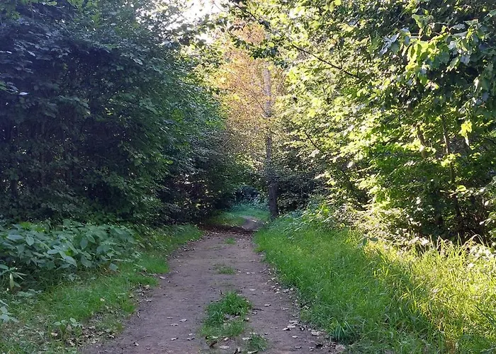 Zakatek Сasa de vacaciones Demlin